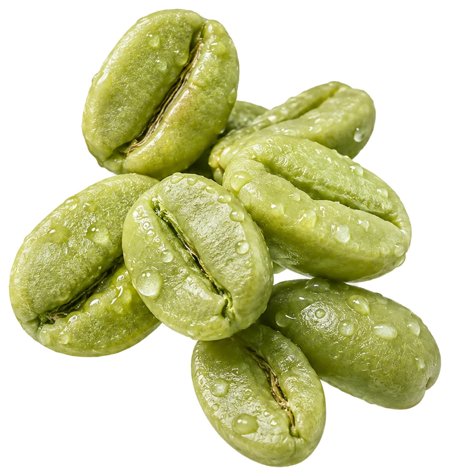 Caffè verde